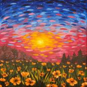 Sunset Poppy Field