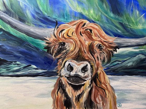 Aurora the Highland 