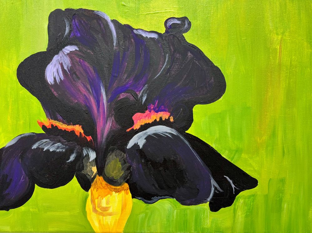 Rachel's Black Iris