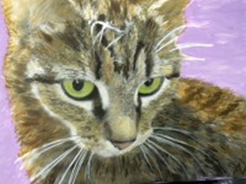 It's BACK! "Paint Your Pet Master Class!" ON WHEELS In Santa Maria! 