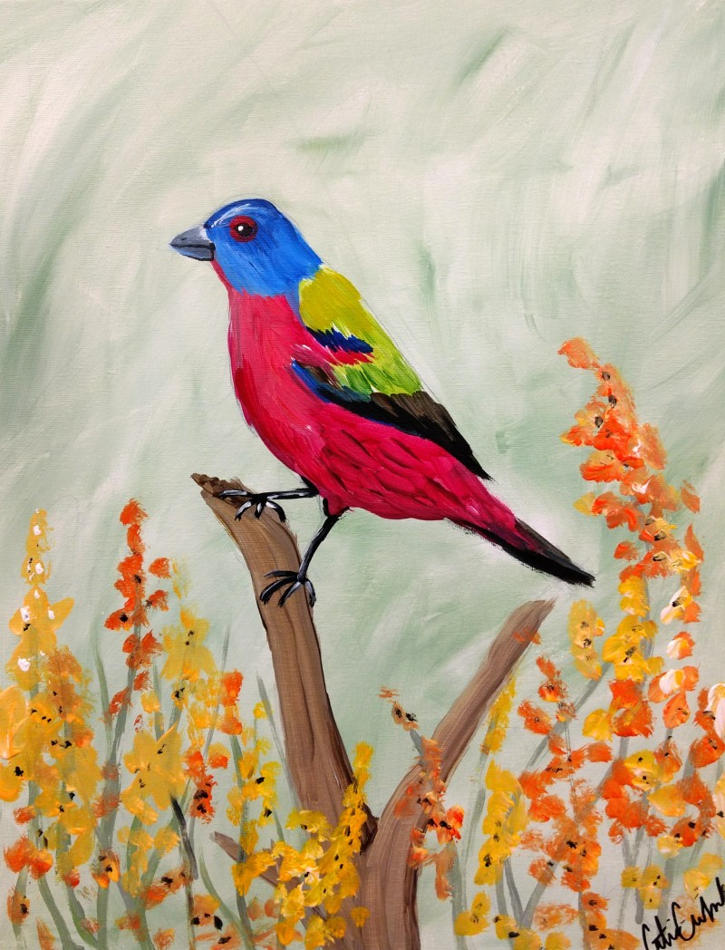 Relaxing Sunday - Painted Bunting - Soft Music, BYOB and Free Parking