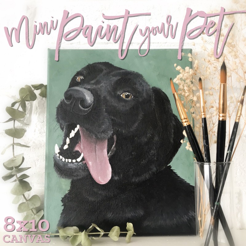 Mini- Paint Your Pet 