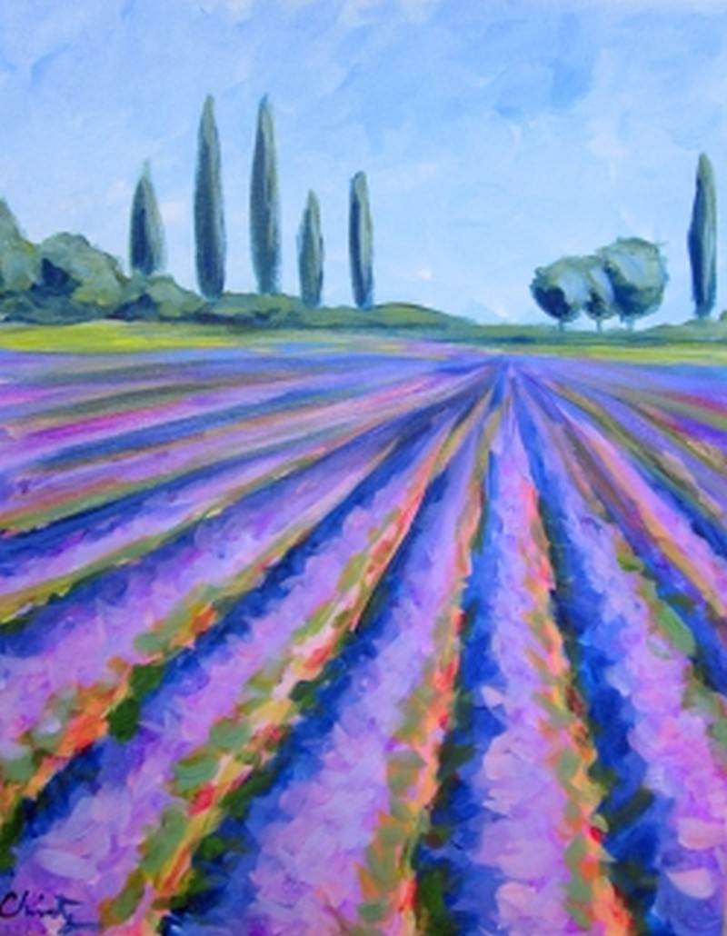 Lavender Fields